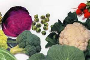 Imagen ilustrativa del artículo Los mejores vegetales para fortalecer y Curar el Hígado